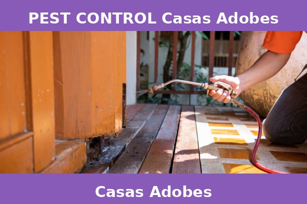 PEST CONTROL Casas Adobes
